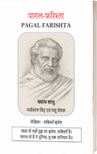 Cover of the book Pagal Farishta
