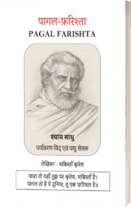 Cover of the book Pagal Farishta