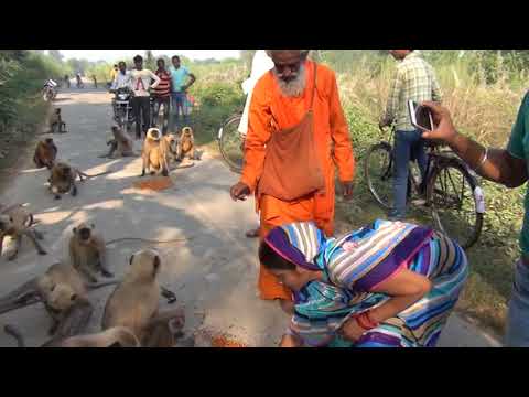 Video thumbnail: Hanuman K Vansaj