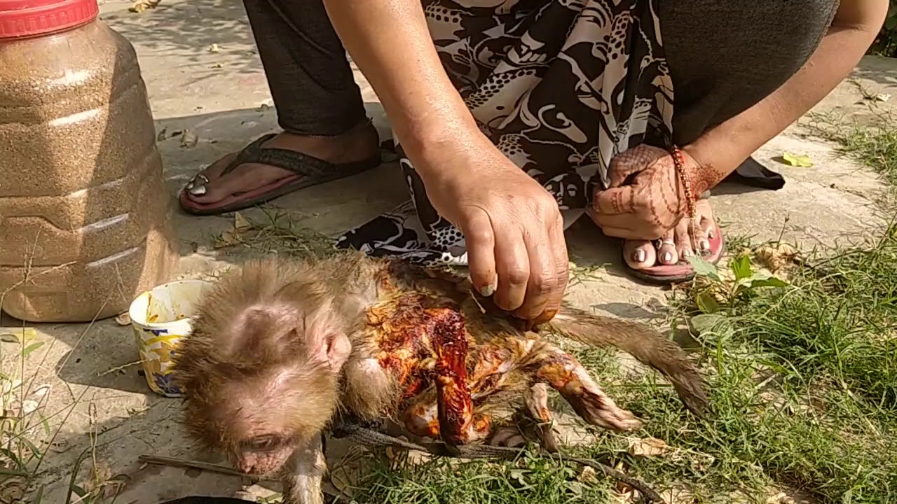 Video thumbnail: Kam kam kam