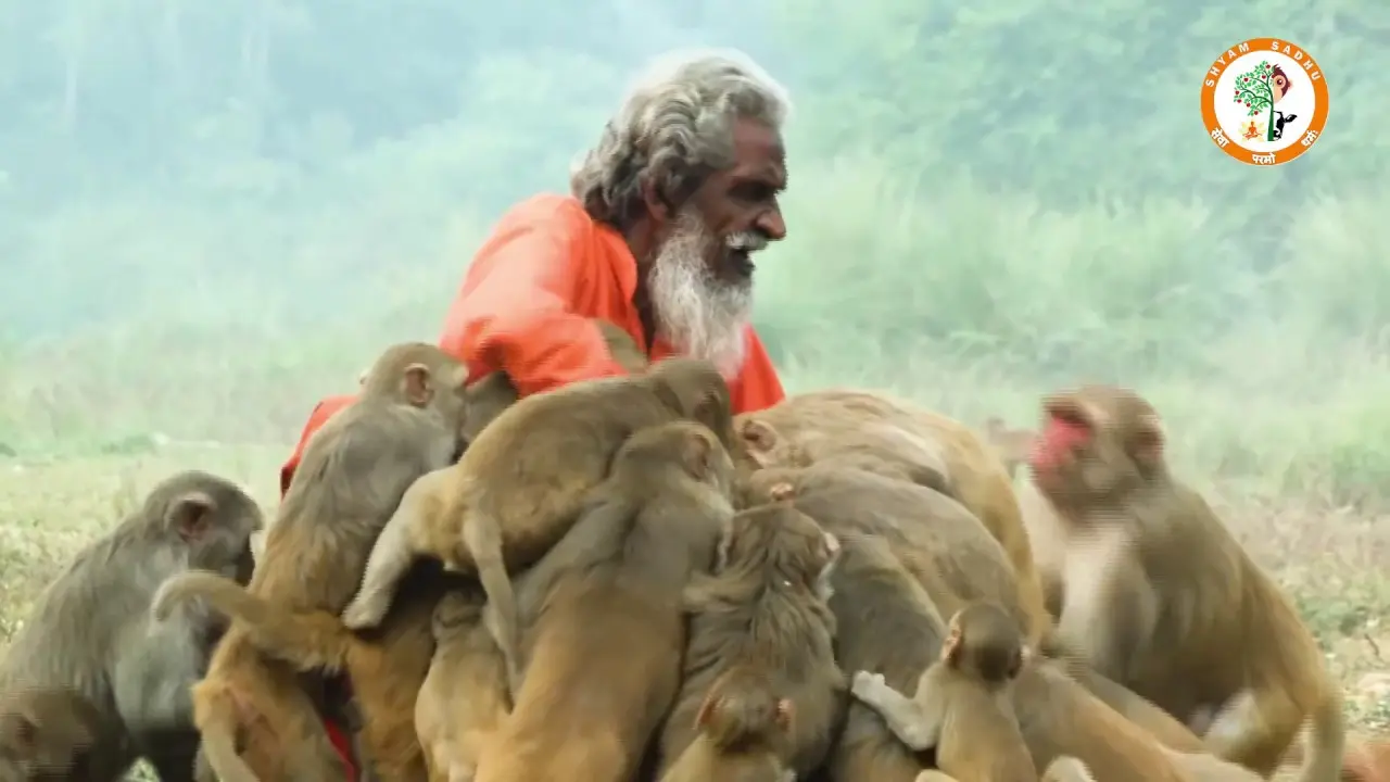 Opening frame of the documentary Story of Shyam Sadhu.