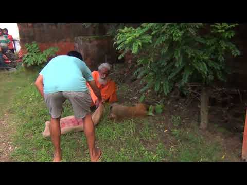 Video thumbnail: Hanuman siddhi aise