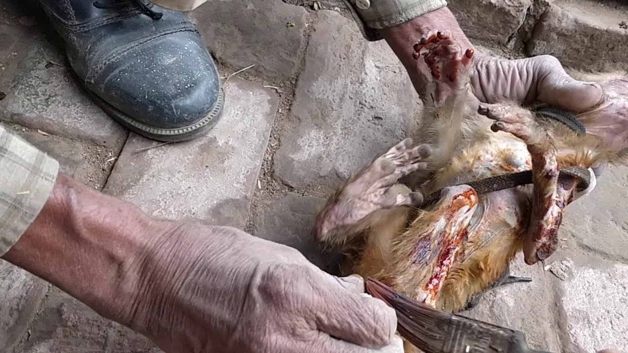 Video thumbnail: Shyam Sadhu — YouTube