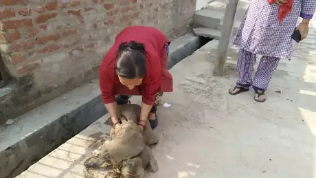 Video thumbnail: Anjali dwara maha seva