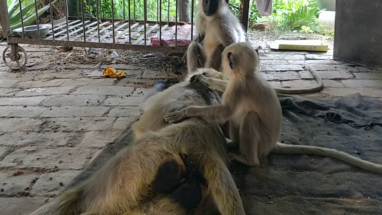 Video thumbnail: ishwar ki sachchi bhakti yahi hai