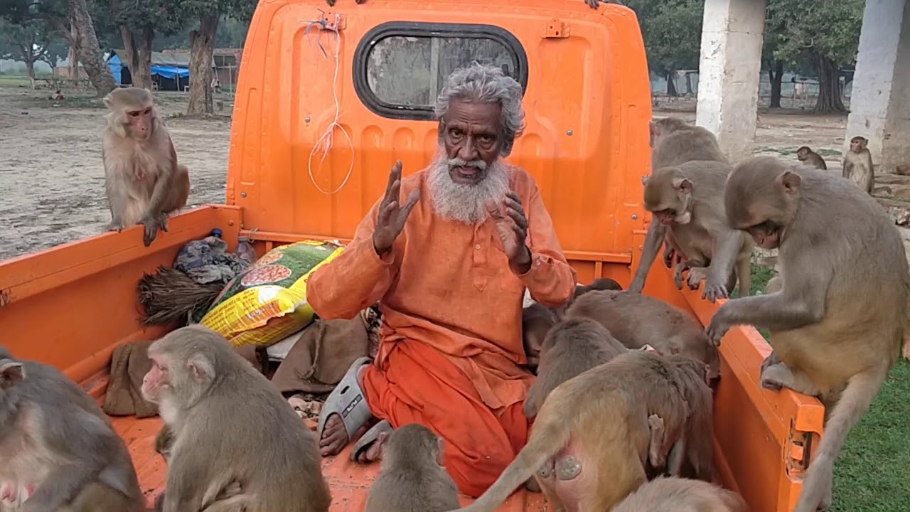 Video thumbnail: Shyam Sadhu — YouTube