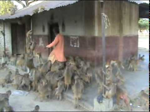 Video thumbnail: Shyam Sadhu | The Extra Ordinary "Human"