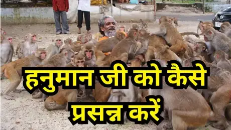 Video thumbnail: Hanuman Bhoj — Love Animals