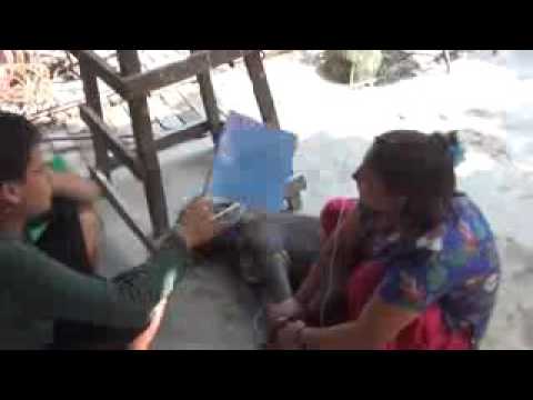 Video thumbnail: Shyam Sadhu's Daughter and his grandson, serving a female Mastiff