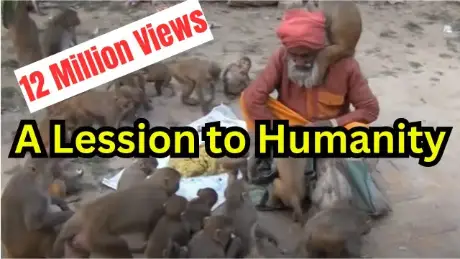 Video thumbnail: A Lesson To Humanity