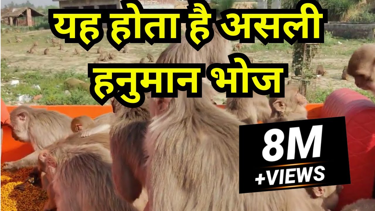 Video thumbnail: Asli Hanuman Bhoj — हनुमान भोज